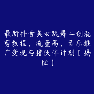 最新抖音美女跳舞二创混剪教程,流量高,音乐推广变现与撸伙伴计划【揭秘】-51自学联盟