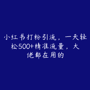 小红书打粉引流，一天轻松500+精准流量，大佬都在用的-51自学联盟