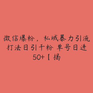 微信爆粉,私域暴力引流打法日引千粉 单号日进50+【揭-51自学联盟