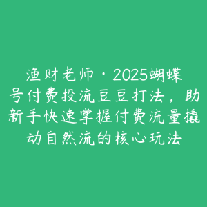渔财老师·2025蝴蝶号付费投流豆豆打法,助新手快速掌握付费流量撬动自然流的核心玩法-51自学联盟