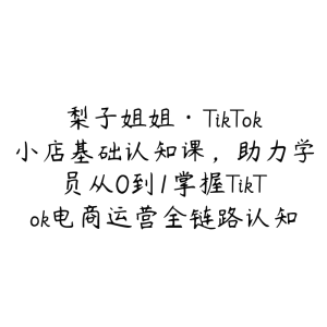 梨子姐姐·TikTok小店基础认知课,助力学员从0到1掌握TikTok电商运营全链路认知-51自学联盟