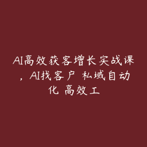 AI高效获客增长实战课,AI找客户 私域自动化 高效工-51自学联盟