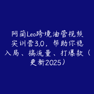 阿蔺Leo跨境油管视频实训营3.0,帮助你稳入局、搞流量、打爆款(更新2025)-51自学联盟