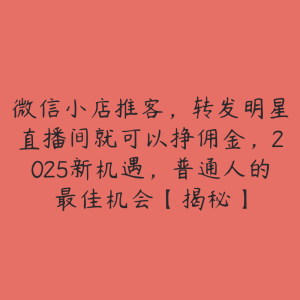 微信小店推客，转发明星直播间就可以挣佣金，2025新机遇，普通人的最佳机会【揭秘】-51自学联盟