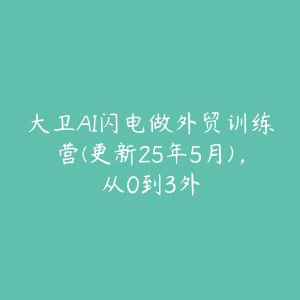 大卫AI闪电做外贸训练营(更新25年5月),从0到3外-51自学联盟