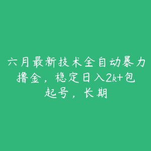 六月最新技术全自动暴力撸金，稳定日入2k+包起号，长期-51自学联盟