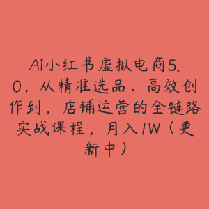 AI小红书虚拟电商5.0，从精准选品、高效创作到，店铺运营的全链路实战课程，月入1W（更新中）-51自学联盟