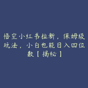 悟空小红书拉新,保姆级玩法,小白也能日入四位数【揭秘】-51自学联盟