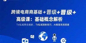 跨境电商基础+晋级+高级课:基础概念解析,Tk私域涨粉技巧,AI客服系统搭建-51自学联盟