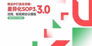 商业IP打造全攻略:差异化SOP3.0流程,短视频协议模板,婚恋项目实战案例-51自学联盟