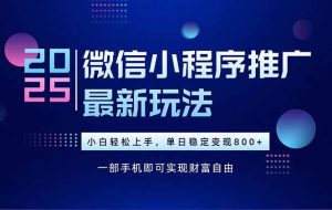 25年下半年微信小程序推广最新玩法,轻松日入800+-51自学联盟