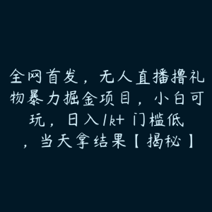 全网首发，无人直播撸礼物暴力掘金项目，小白可玩，日入1k+ 门槛低，当天拿结果【揭秘】-51自学联盟