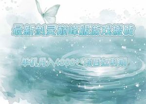 最新剑灵巅峰服游戏搬砖，项目红利期，单机稳定4000+操作简单好上手-51自学联盟