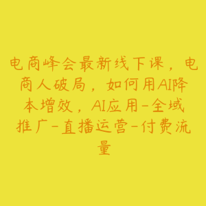 电商峰会最新线下课,电商人破局,如何用AI降本增效,AI应用-全域推广-直播运营-付费流量-51自学联盟