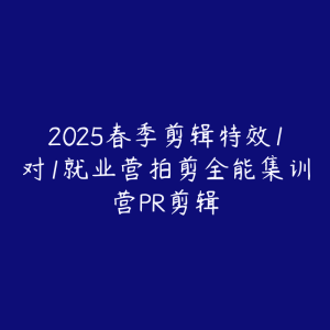 2025春季剪辑特效1对1就业营拍剪全能集训营PR剪辑-51自学联盟