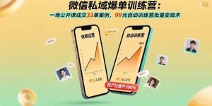 微信私域爆单训练营:一场公开课成交33单案例,99元自动训练营批量变现术-51自学联盟
