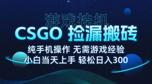 8月最新游戏搬砖，CSGO纯挂机，不需要玩游戏，实现真挂机，月入1W+-51自学联盟