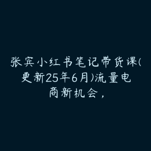 张宾小红书笔记带货课(更新25年6月)流量电商新机会,-51自学联盟