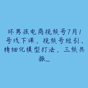 坏男孩电商视频号7月1号线下课,视频号短引、精细化模型打法,三频共振…-51自学联盟