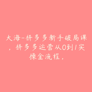 大海-拼多多新手破局课,拼多多运营从0到1实操全流程,-51自学联盟