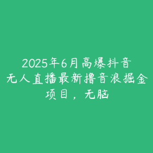 2025年6月高爆抖音无人直播最新撸音浪掘金项目,无脑-51自学联盟