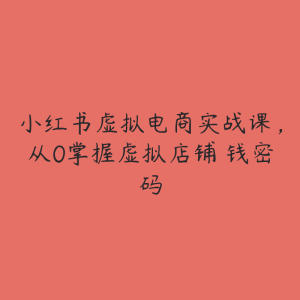 小红书虚拟电商实战课，从0掌握虚拟店铺賺钱密码-51自学联盟