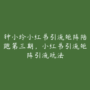 钟小玲小红书引流矩阵陪跑第三期,小红书引流矩阵引流玩法-51自学联盟