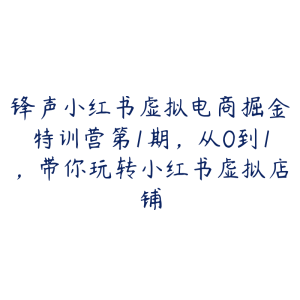 锋声小红书虚拟电商掘金特训营第1期,从0到1,带你玩转小红书虚拟店铺-51自学联盟