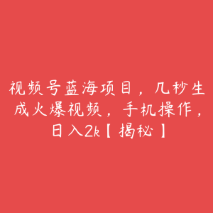 视频号蓝海项目,几秒生成火爆视频,手机操作,日入2k【揭秘】-51自学联盟