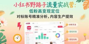 小红书野路子流量实战营:低粉高变现定位 对标账号精准分析 内容生产提效-51自学联盟