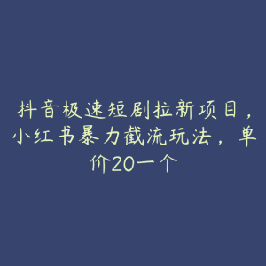 抖音极速短剧拉新项目,小红书暴力截流玩法,单价20一个-51自学联盟