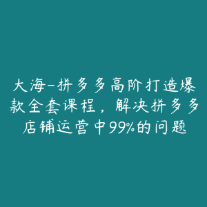 大海-拼多多高阶打造爆款全套课程,解决拼多多店铺运营中99%的问题-51自学联盟