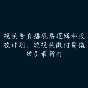 视频号直播底层逻辑和投放计划，短视频微付费撬短引最新打-51自学联盟