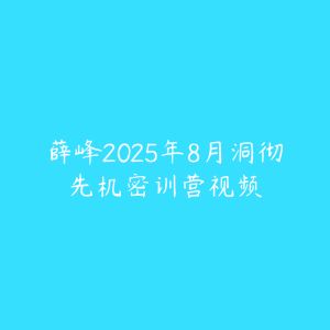 薛峰2025年8月洞彻先机密训营视频-51自学联盟