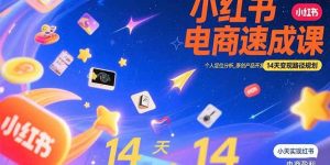 小红书虚拟电商速成课:个人定位分析,原创产品开发,14天变现路径规划-51自学联盟