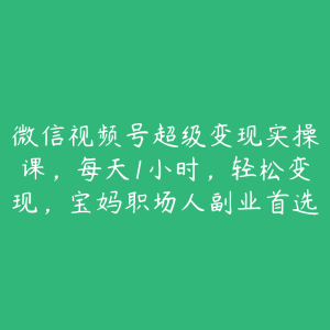 微信视频号超级变现实操课,每天1小时,轻松变现,宝妈职场人副业首选-51自学联盟