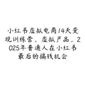 小红书虚拟电商14天变现训练营,虚拟产品,2025年普通人在小红书最后的搞钱机会-51自学联盟