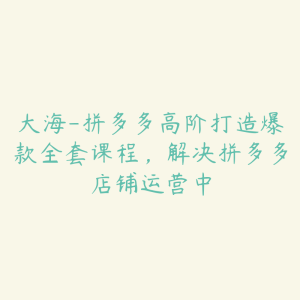 大海-拼多多高阶打造爆款全套课程,解决拼多多店铺运营中-51自学联盟
