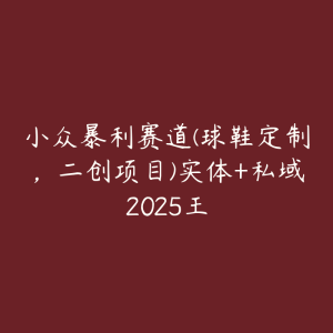 小众暴利赛道(球鞋定制,二创项目)实体+私域2025王-51自学联盟