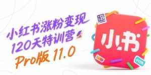 小红书涨粉变现120天特训营Pro版11.0:从0到1掌握平台运营,内容制作和变现-51自学联盟