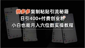 拼多多复制粘贴引流秘籍,日引400+付费创业粉,小白也能月入六位数实操…-51自学联盟