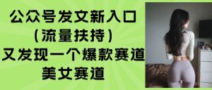 公众号发文新入口（流量扶持），又发现一个爆款赛道：美女赛道-51自学联盟