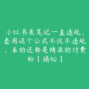 小红书发笔记一直违规,套用这个公式不仅不违规,来的还都是精准的付费粉【揭秘】-51自学联盟
