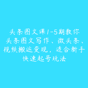 头条图文课1-5期教你头条图文写作、微头条、视频搬运变现,适合新手快速起号玩法-51自学联盟