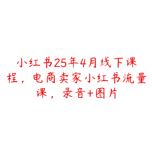 小红书25年4月线下课程,电商卖家小红书流量课,录音+图片-51自学联盟