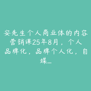 安先生个人商业体的内容营销课25年8月,个人品牌化,品牌个人化,自媒…-51自学联盟