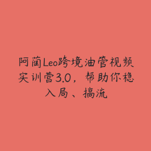 阿蔺Leo跨境油管视频实训营3.0,帮助你稳入局、搞流-51自学联盟