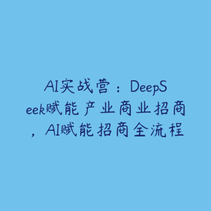 AI实战营：DeepSeek赋能产业商业招商，AI赋能招商全流程-51自学联盟