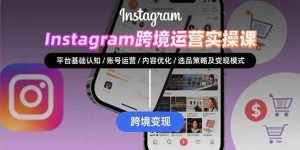 Instagram跨境运营实战:平台认知/账号运营/内容优化/选品策略及变现模式-51自学联盟