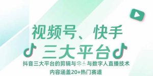视频号、快手、抖音三大平台的剪辑与数字人直播技术,内容涵盖20+热门赛道-51自学联盟
